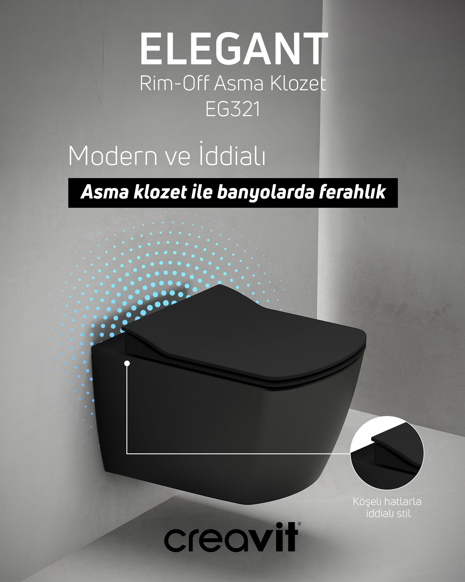Elegant Rim-Off Duroplast Soft Close Toilet Seat Set in Charcoal Black