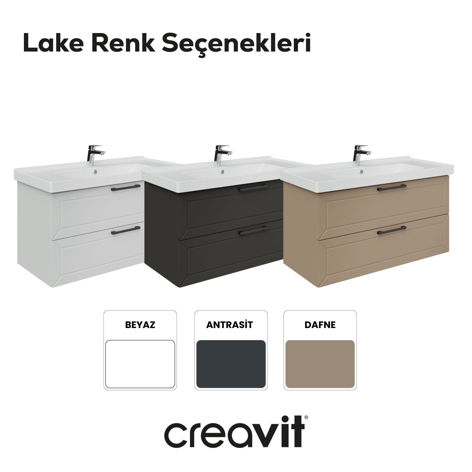 D20 100 Cm İki Çekmeceli Lavabo Dolabı Antrasit Lake Kapak