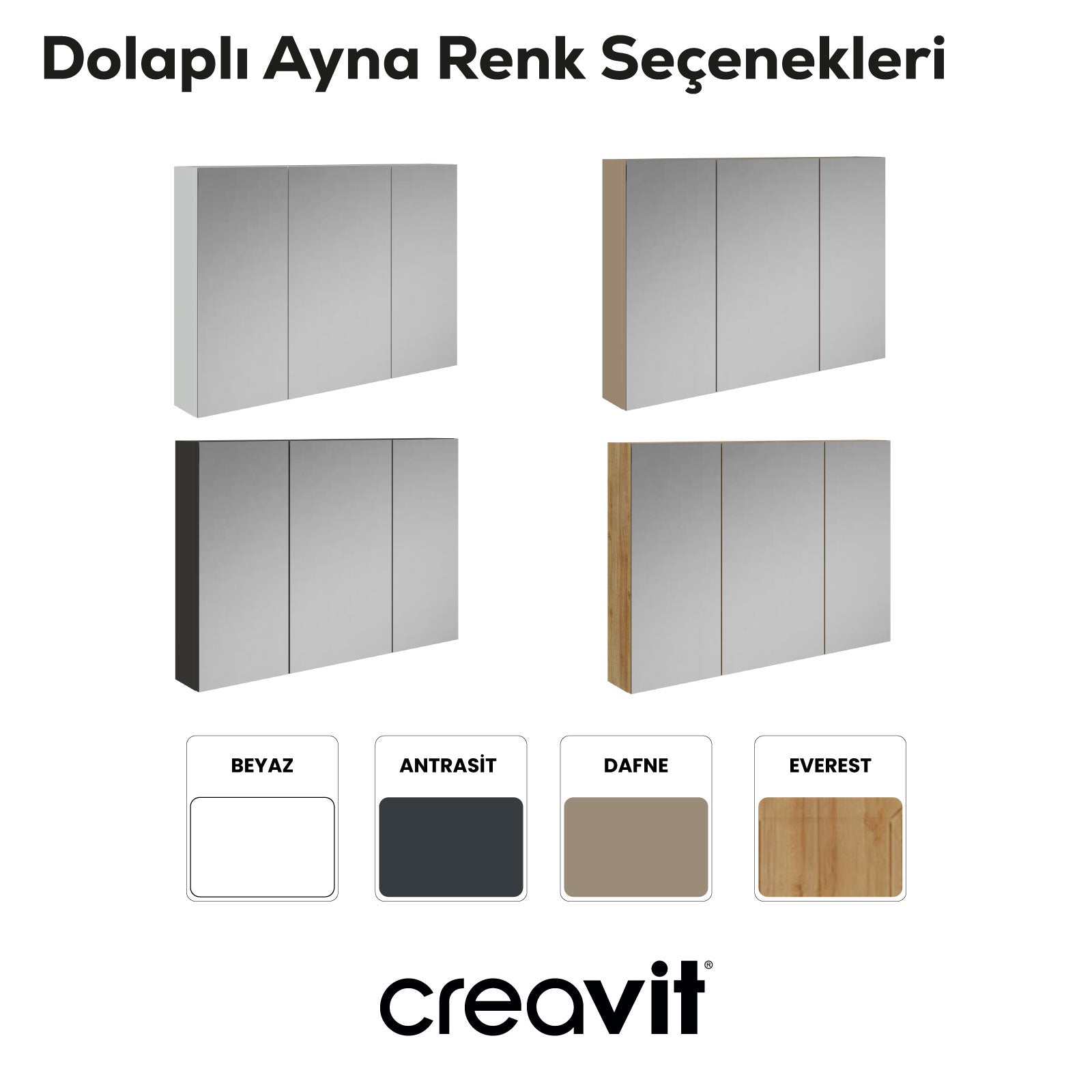D20 100 cm Melamine Mirrored Cabinet Anthracite