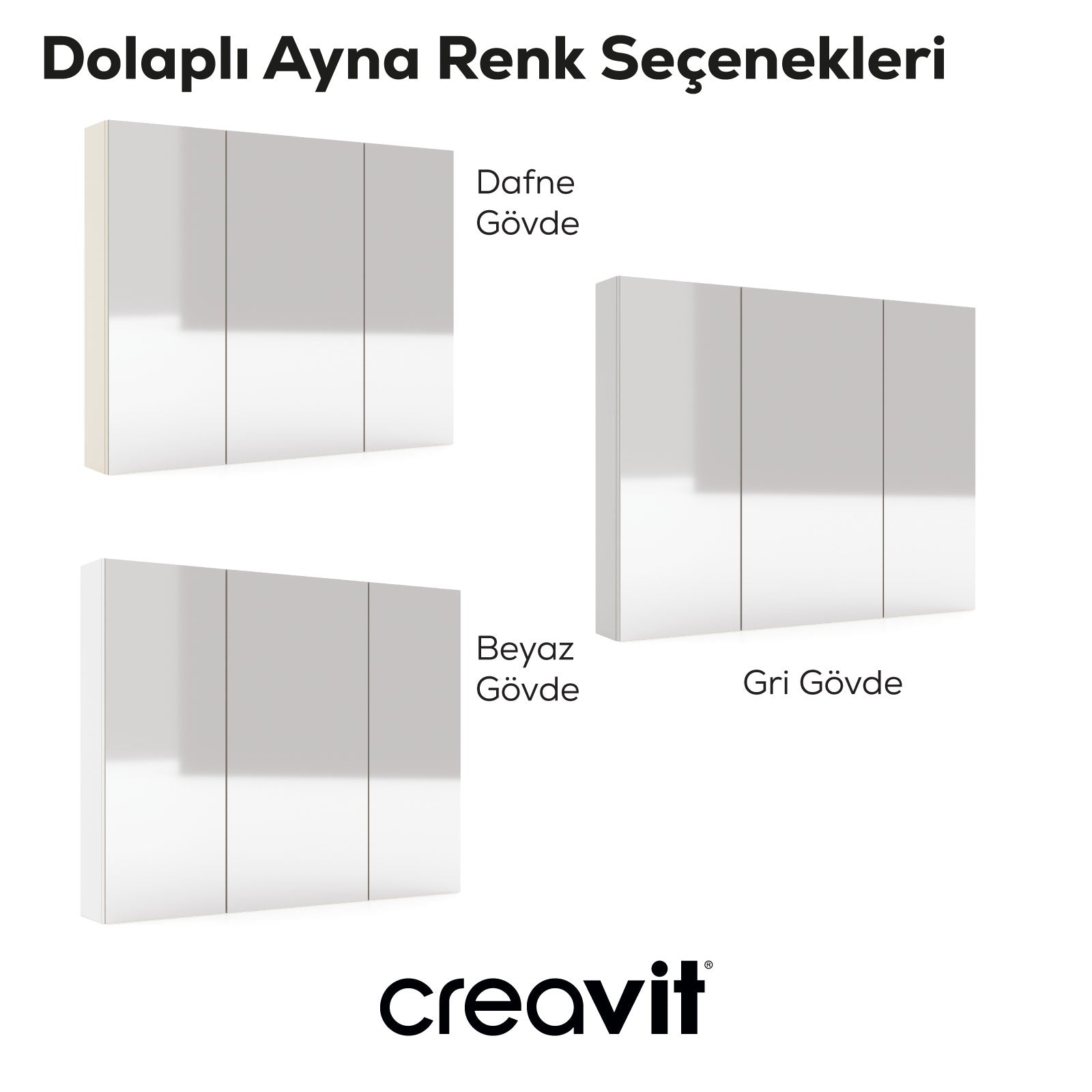 D20 100 cm Melamin Aynalı Dolap Gri